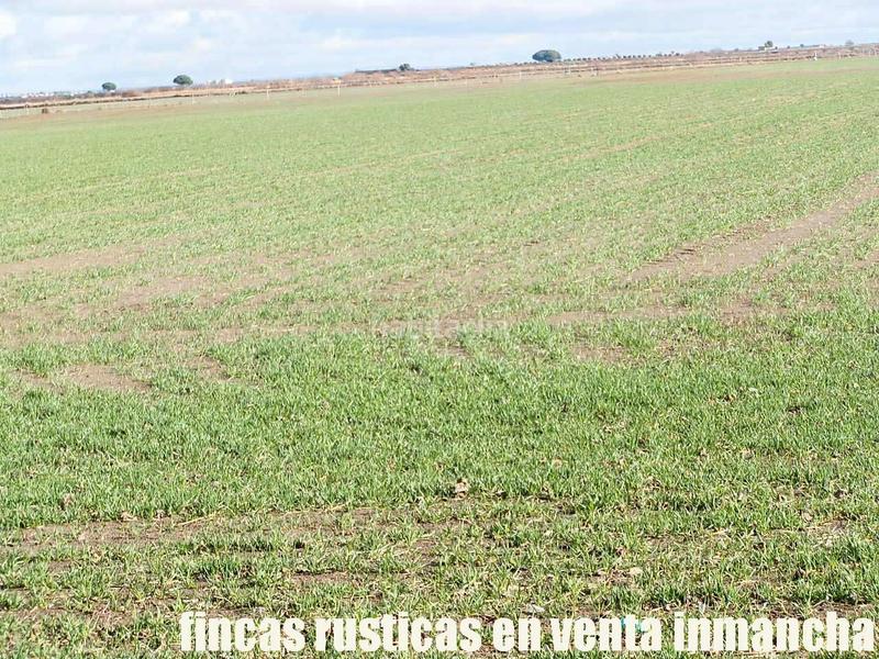 Foto 1ff54c91-67cf-48ce-bead-0dcd93407e14. Finca rústica a Mesas (Las)