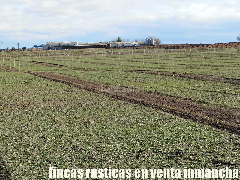 Foto 21f0b73c-5489-4977-bb70-66374b48b4b1. Finca rústica a Mesas (Las)