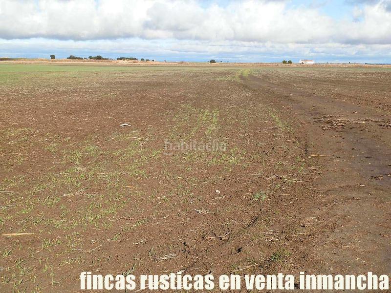 Foto 57c5fc6a-d8a2-4420-b31b-9a1b0194a70b. Finca rústica a Mesas (Las)