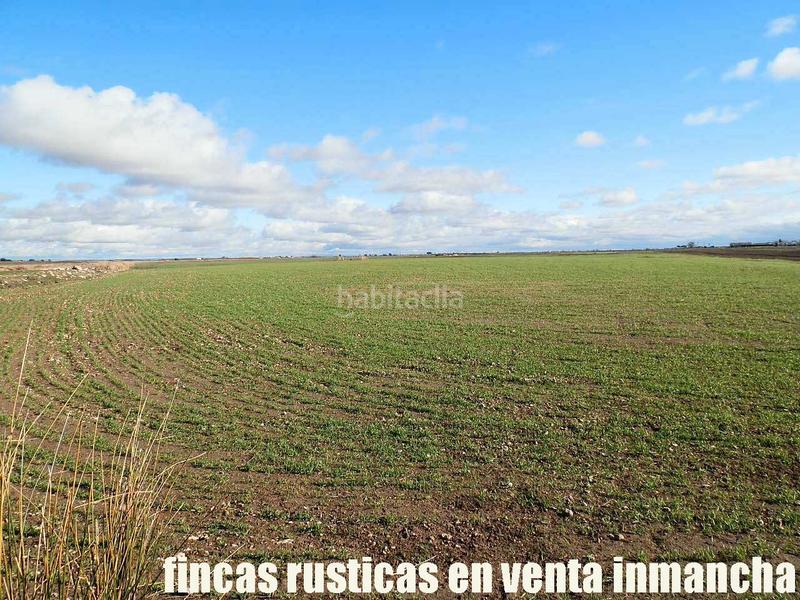 Foto 7f764efa-df23-4ab1-89bd-3ad36179667d. Finca rústica a Mesas (Las)