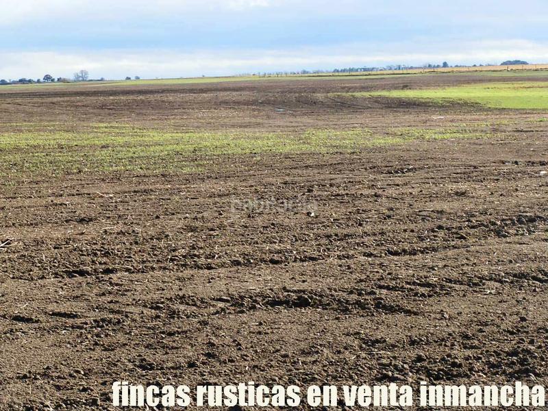 Foto a25e7249-7760-4456-9a1c-cbb3ab628167. Finca rústica a Mesas (Las)