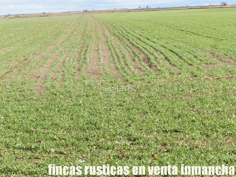 Foto aa976b00-f178-4b67-acd0-b62b919003ef. Finca rústica a Mesas (Las)