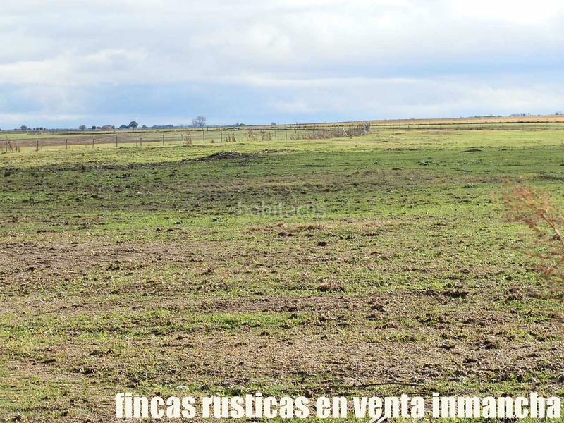 Foto b375b286-d91c-4a57-be90-accc856f359f. Finca rústica a Mesas (Las)