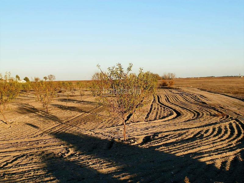 Foto b535d33e-4bce-4ba9-bdd2-6ca6a1f8034a. Finca rústica a Mesas (Las)