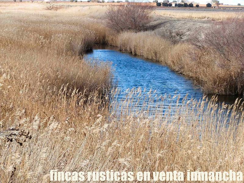 Foto cf4d3afd-4db6-483c-9014-90a828c7c016. Finca rústica a Mesas (Las)