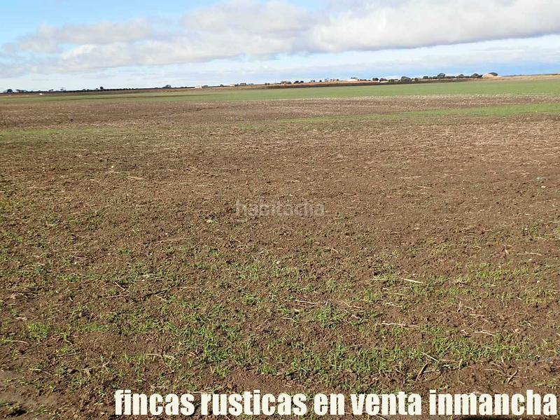 Foto cfac2801-2741-4e68-acc9-7a548643ff39. Finca rústica a Mesas (Las)