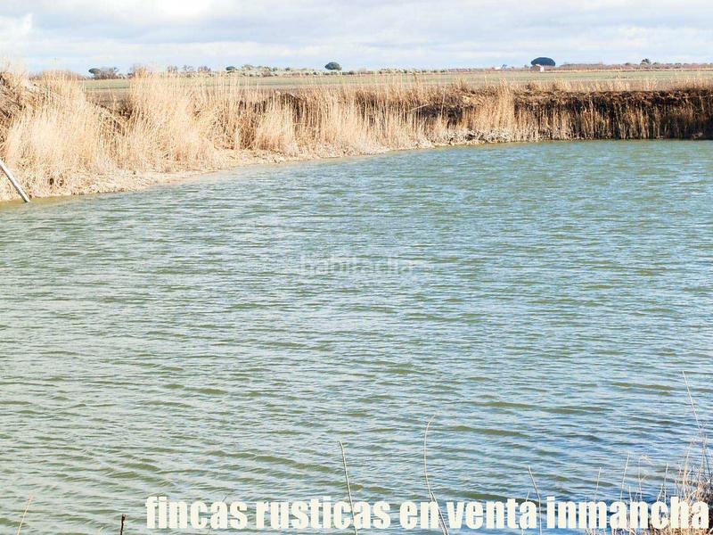 Foto d7392659-e9d3-4846-befc-57cd17fd5e63. Finca rústica a Mesas (Las)