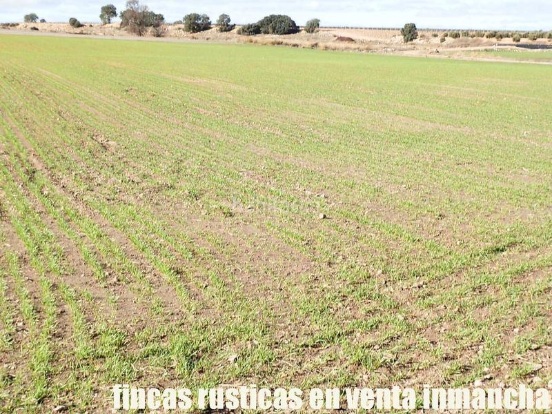 Foto f8892e84-2953-433c-9782-866b1e18d205. Finca rústica a Mesas (Las)