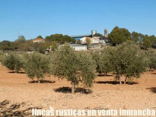 Finca rústica a Villarejo de Salvanés. Finca en venta 30 has. olivar recreo en villarejo de salvanes (m
