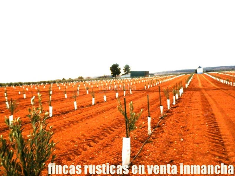 Foto 602604cd-70ea-484b-b122-0037f302ee84. Finca rústica a Valdepeñas