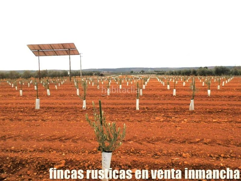 Foto 70482c2c-ebf7-4ca5-984f-583a9bfb4429. Finca rústica a Valdepeñas