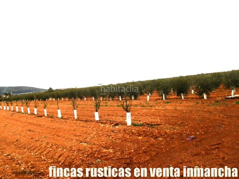 Foto 9b3115da-72aa-4cd3-8085-cef04a76e1e7. Finca rústica a Valdepeñas