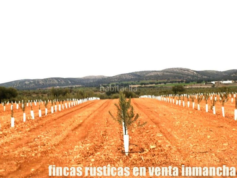Foto a25279c0-d64d-4229-926a-725cc355e3dc. Finca rústica a Valdepeñas