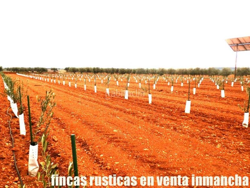 Foto b18509e6-ff97-4082-a2f4-9836c72778eb. Finca rústica a Valdepeñas