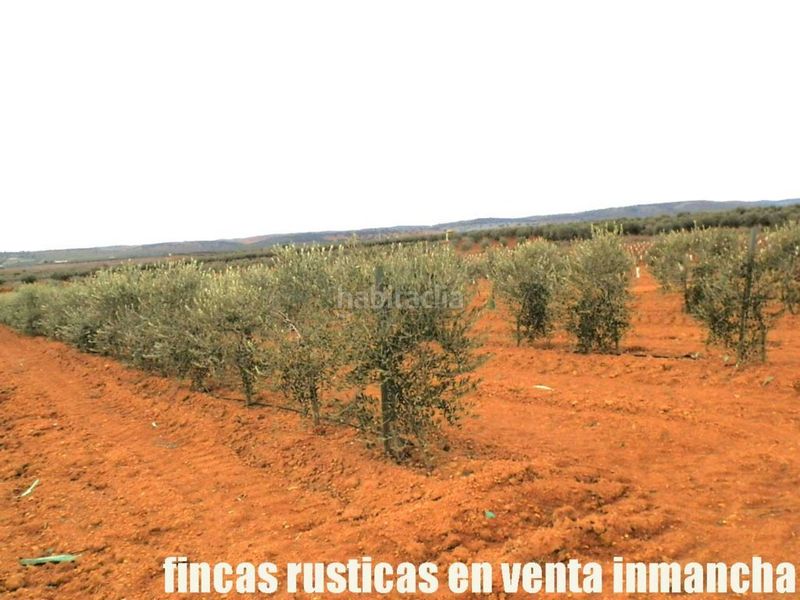 Foto bd8ecddc-0f6d-4628-9870-2ce1048181af. Finca rústica a Valdepeñas