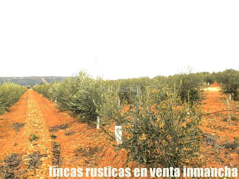 Foto c4b8b446-68d7-409d-aae4-7bfb903c8eb5. Finca rústica a Valdepeñas