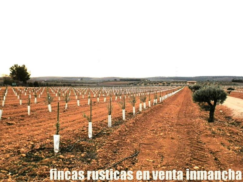 Foto cabed966-2a2c-4786-a873-19509af4d6d1. Finca rústica a Valdepeñas