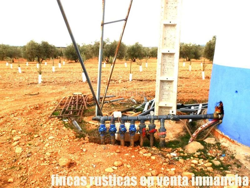Foto cee836fe-bba0-4da4-933b-8f195ee726ad. Finca rústica a Valdepeñas