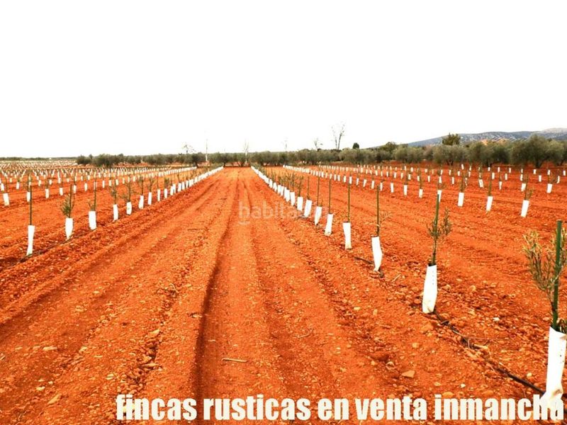 Foto d5ff1a98-5c52-48d1-ab71-2a555712aaa4. Finca rústica a Valdepeñas