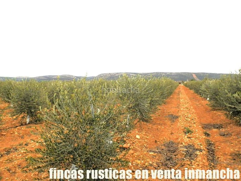 Foto fc762c7b-e863-42fa-8392-5df7460f24e2. Finca rústica a Valdepeñas
