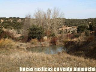 Fondo rustico in Centro. Finca en venta labor monte caza menor caserío en cuenca