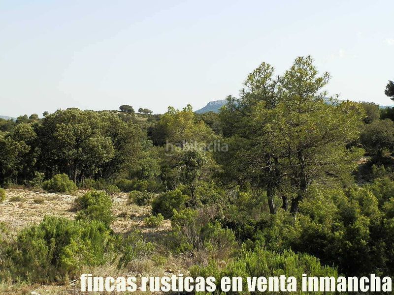 Foto 06fd0d17-0997-4838-889c-103105cda0f3. Finca rústica a Caravaca de la Cruz