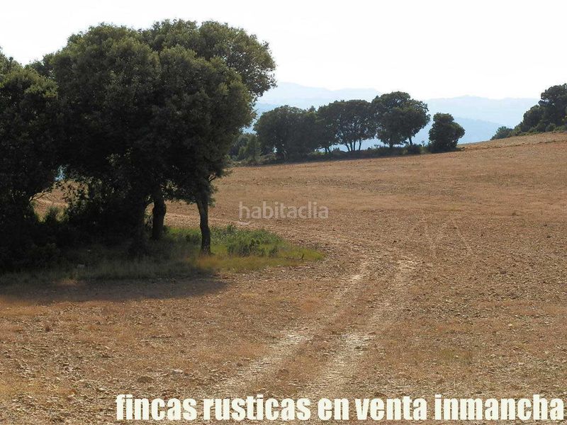 Foto 160d3317-c46a-4458-b176-6a45eb393c94. Finca rústica a Caravaca de la Cruz