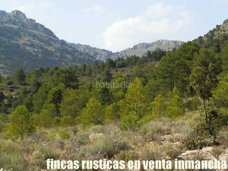 Foto 2f146455-59ce-4f3f-96d9-1a01e370caa9. Finca rústica a Caravaca de la Cruz