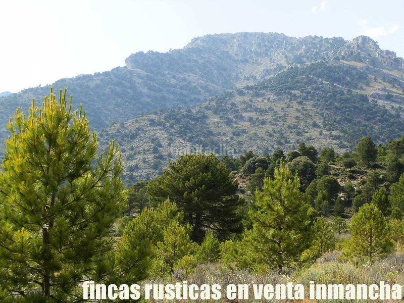 Foto 46158599-83af-4683-9e7e-2c3694768335. Finca rústica a Caravaca de la Cruz