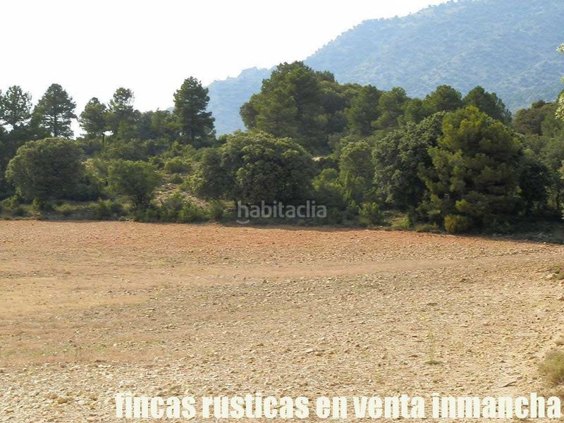 Foto 6225949c-70b1-4950-84b1-2bc7043a5018. Finca rústica a Caravaca de la Cruz
