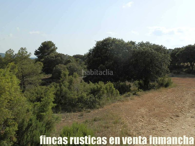 Foto 727edb10-1716-4c24-9e6d-81b4e7dbcccc. Finca rústica a Caravaca de la Cruz