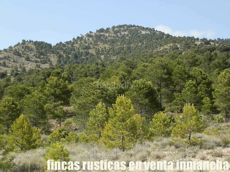 Foto 8e3cdc13-c6de-4711-95e2-7d4fbb2c705a. Finca rústica a Caravaca de la Cruz