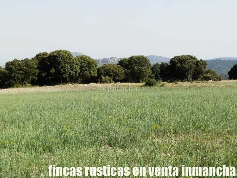 Foto aa899290-0eb9-41cc-ab70-f6cfd3375833. Finca rústica a Caravaca de la Cruz