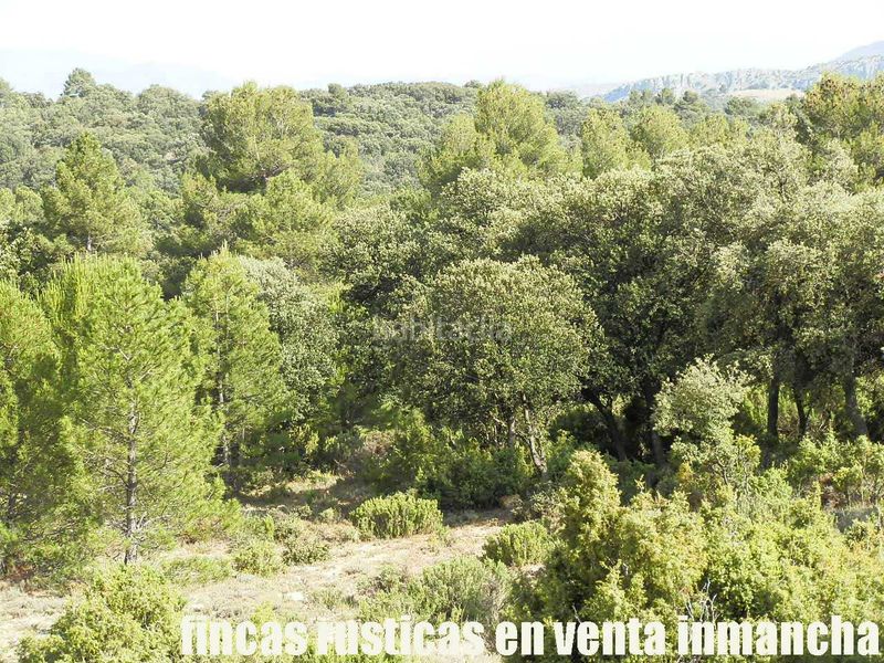 Foto ad7ed79b-1a81-4a3f-b148-6e84a641d51d. Finca rústica a Caravaca de la Cruz