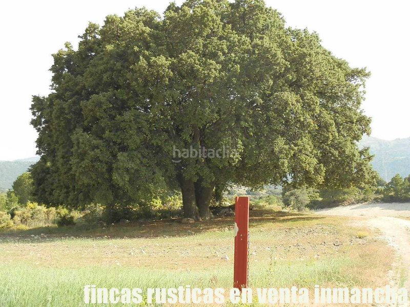 Foto b8f78623-3ef9-4b10-aaad-0c769e458f9e. Finca rústica a Caravaca de la Cruz