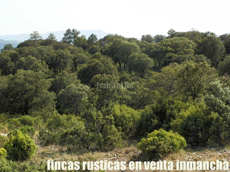 Foto d8f4081b-b2b7-42d6-8e07-14475ed78bd1. Finca rústica a Caravaca de la Cruz