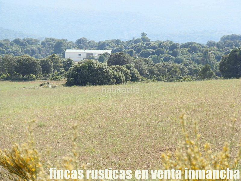 Foto d912caf4-a091-48a3-8b90-1c442566708c. Finca rústica a Caravaca de la Cruz