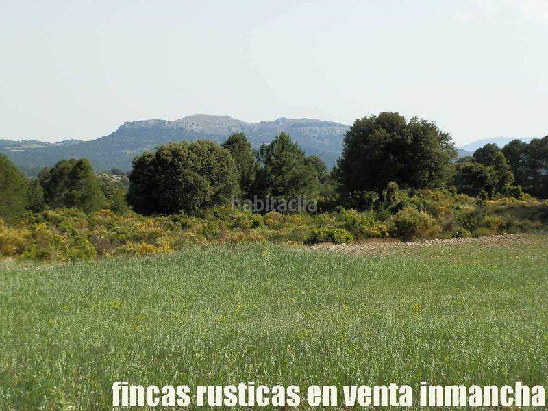 Foto f6b3b313-cd20-4884-87b5-1a0e70d6625d. Finca rústica a Caravaca de la Cruz