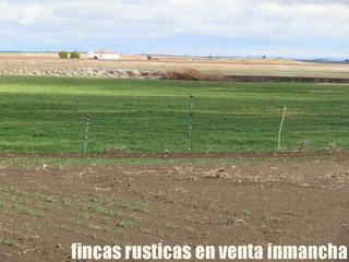 Finca rústica a Tomelloso. Finca en venta labor secano almendros ganadera en ciudad real