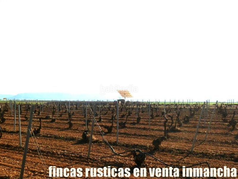 Foto 11dd2971-c824-41ca-b535-728d994abc10. Finca rústica finca en venta 366 has. labor viña riego (toledo) en Madridejos