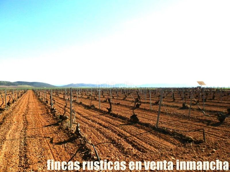 Foto 240f3d6e-e453-4d4d-a722-83b77afbe2ae. Finca rústica finca en venta 366 has. labor viña riego (toledo) en Madridejos