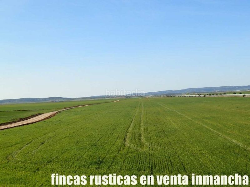 Foto 51175817-47b4-4530-ba8f-7b961d148f11. Finca rústica finca en venta 366 has. labor viña riego (toledo) en Madridejos