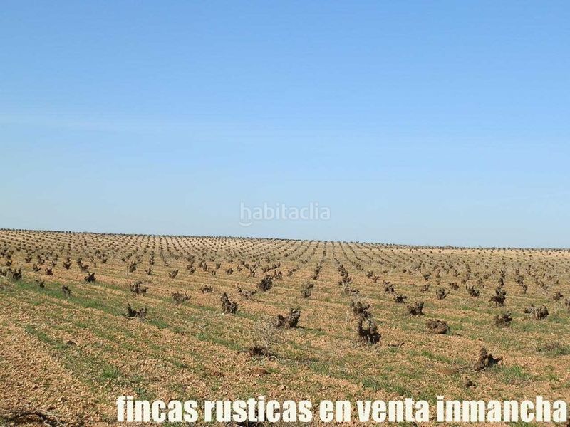 Foto 639ea19d-7123-4c7b-aa05-90739c9d89ae. Finca rústica finca en venta 366 has. labor viña riego (toledo) en Madridejos