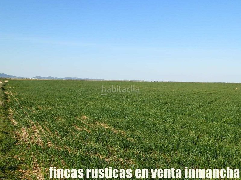 Foto 902ad971-594b-4d6e-8d44-27b02c02488a. Finca rústica finca en venta 366 has. labor viña riego (toledo) en Madridejos