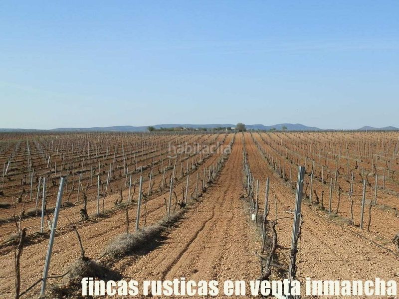Foto b66fec97-de31-44c5-b351-0cbccb91afc6. Finca rústica finca en venta 366 has. labor viña riego (toledo) en Madridejos