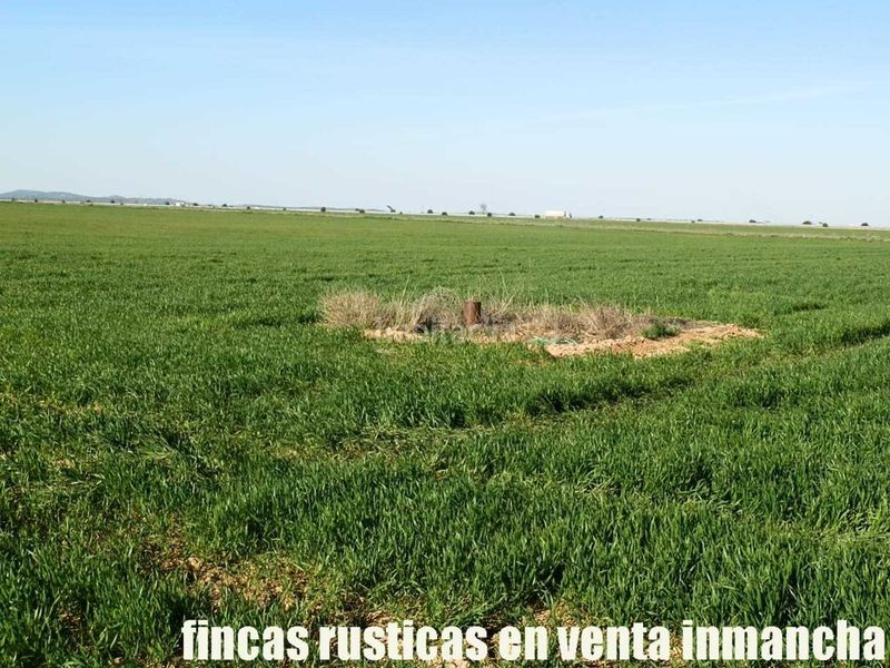 Foto b6e76484-e462-4086-ba6a-155ee865eb3b. Finca rústica finca en venta 366 has. labor viña riego (toledo) en Madridejos