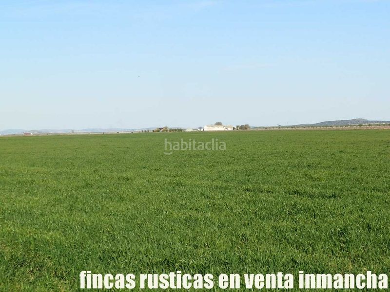 Foto b8100663-b887-429a-9b1a-d47f0fd43049. Finca rústica finca en venta 366 has. labor viña riego (toledo) en Madridejos