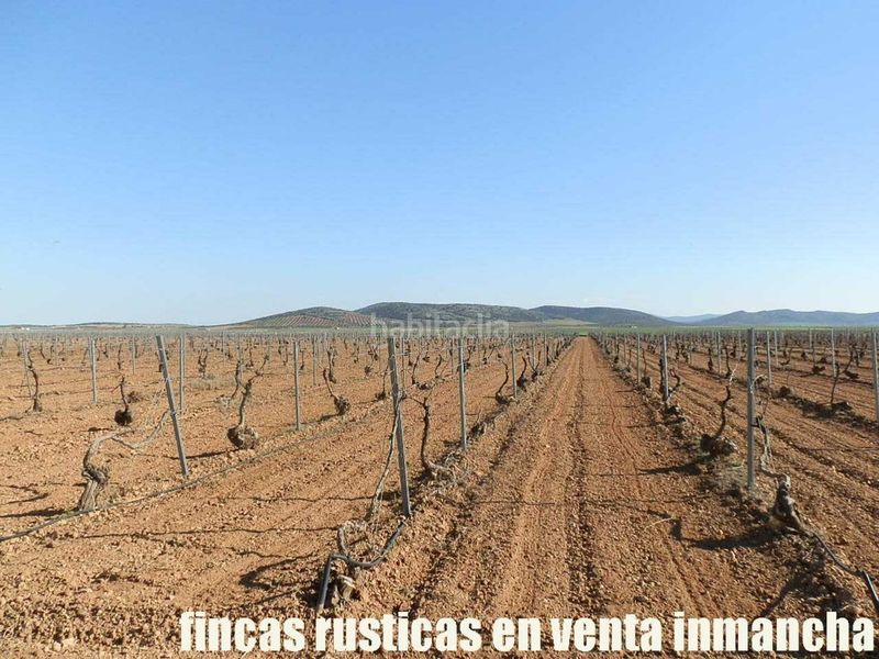 Foto bf1a59b4-fb8d-4502-83af-98def6096203. Finca rústica finca en venta 366 has. labor viña riego (toledo) en Madridejos