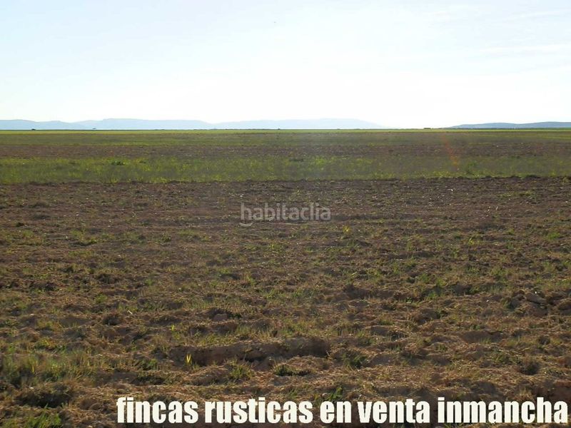 Foto bf974f0c-231f-42f5-a026-e01d92546a2d. Finca rústica finca en venta 366 has. labor viña riego (toledo) en Madridejos