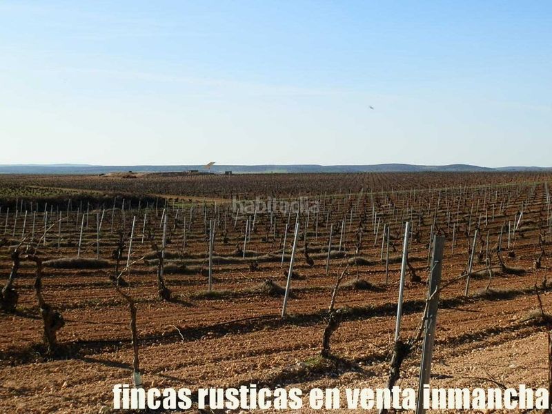Foto e1cdb405-373e-47c8-86c2-ed597e9928ab. Finca rústica finca en venta 366 has. labor viña riego (toledo) en Madridejos